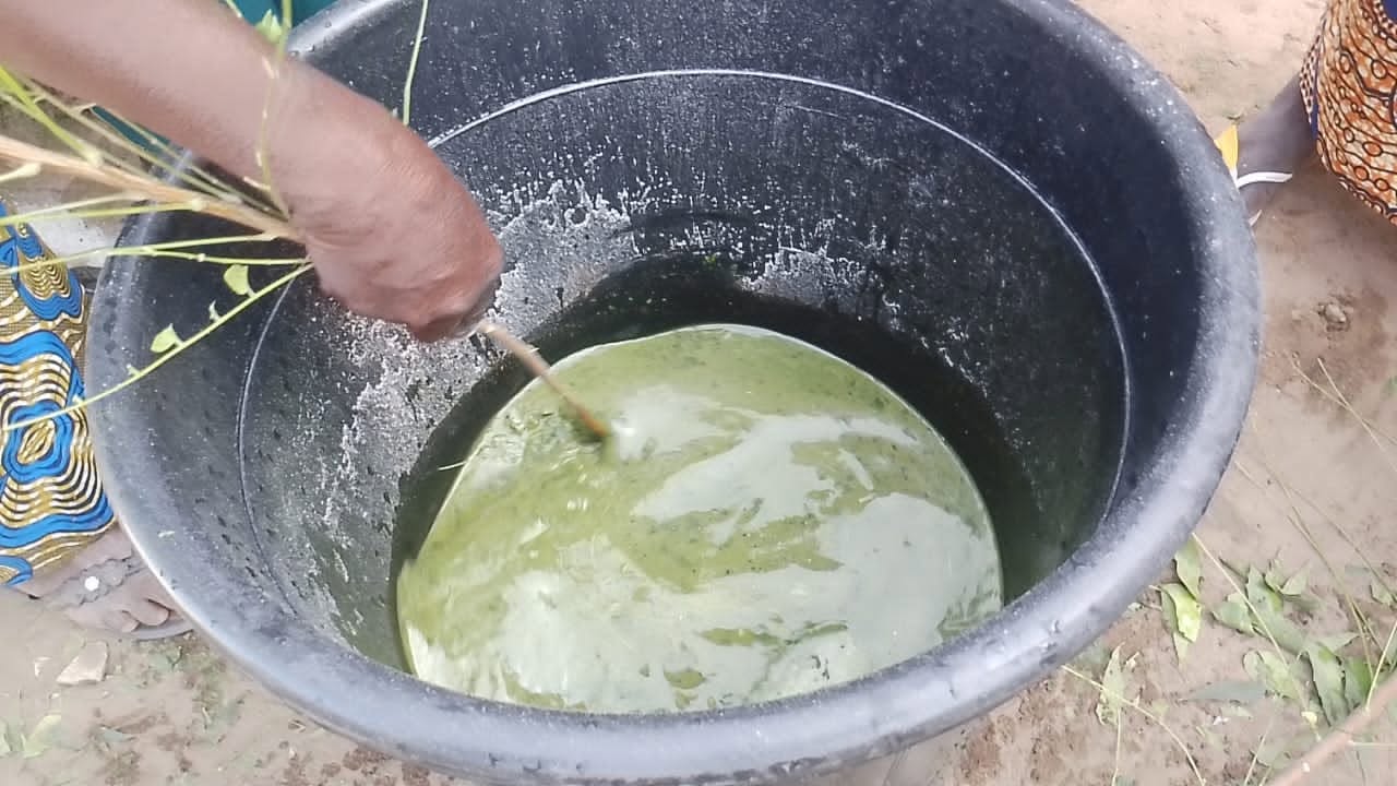 Biopesticide — Photo 3