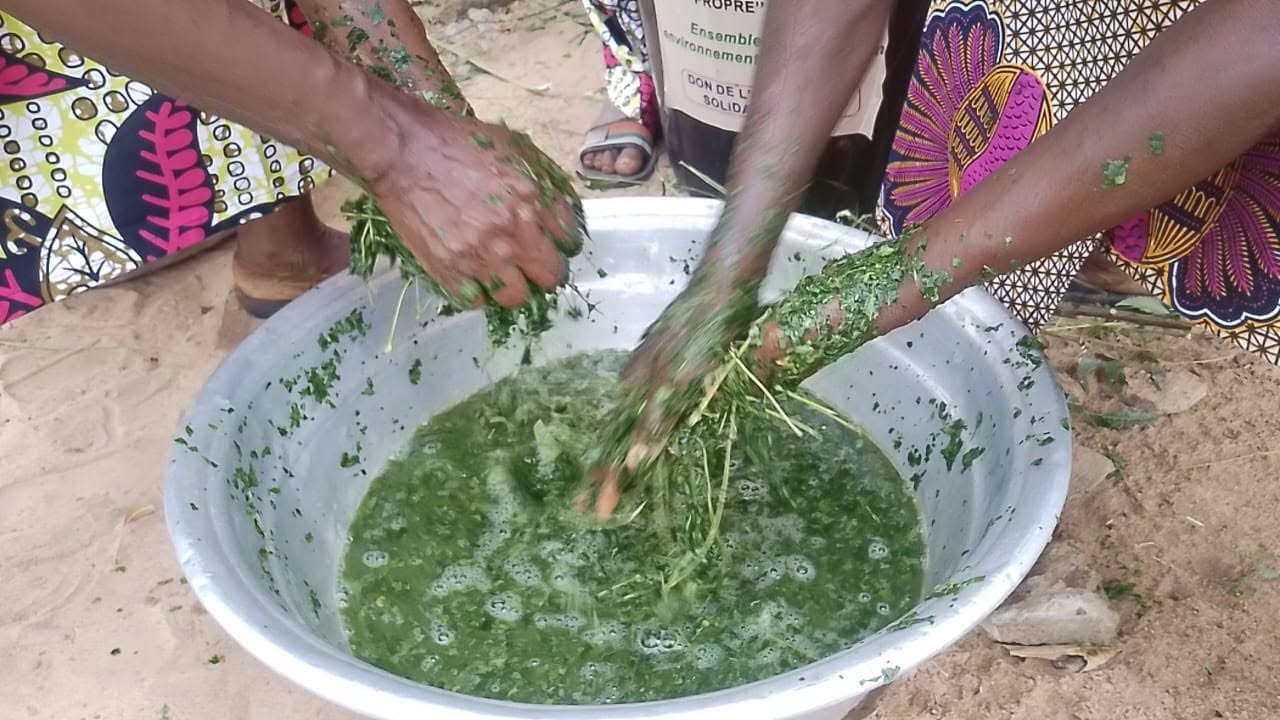 Biopesticide — Photo 5