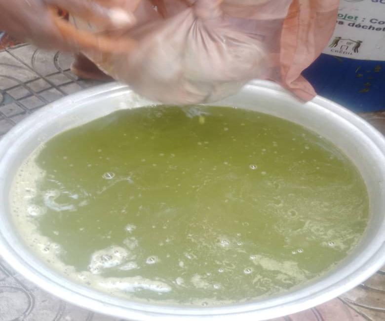 Biopesticide à base de feuilles de neem