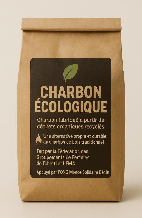 Modèle de conditionnement du charbon écologique